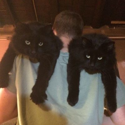 Les jumeaux Koda et Baloo
