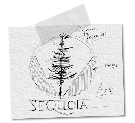 Croquis de construction du logo Séquoia croquis de construction du logo Séquoia