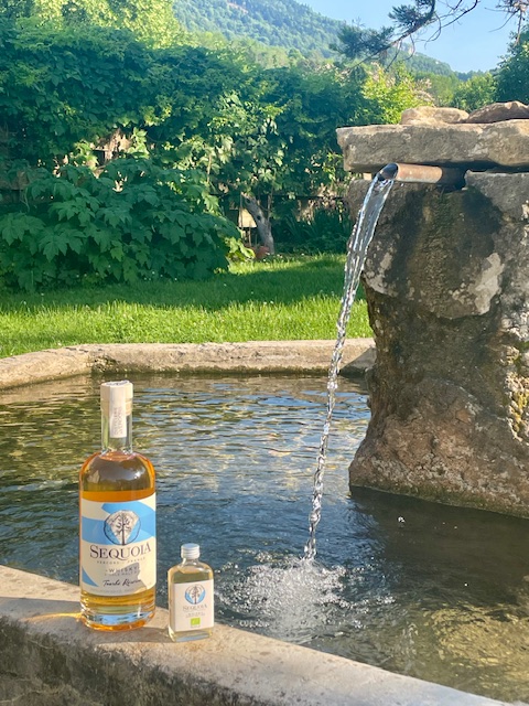 la fontaine de la Distillerie du Vercors